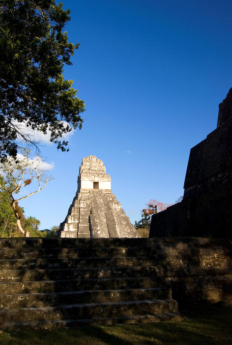 Mayan pyramid temple ruins at Tikal, Guatemala